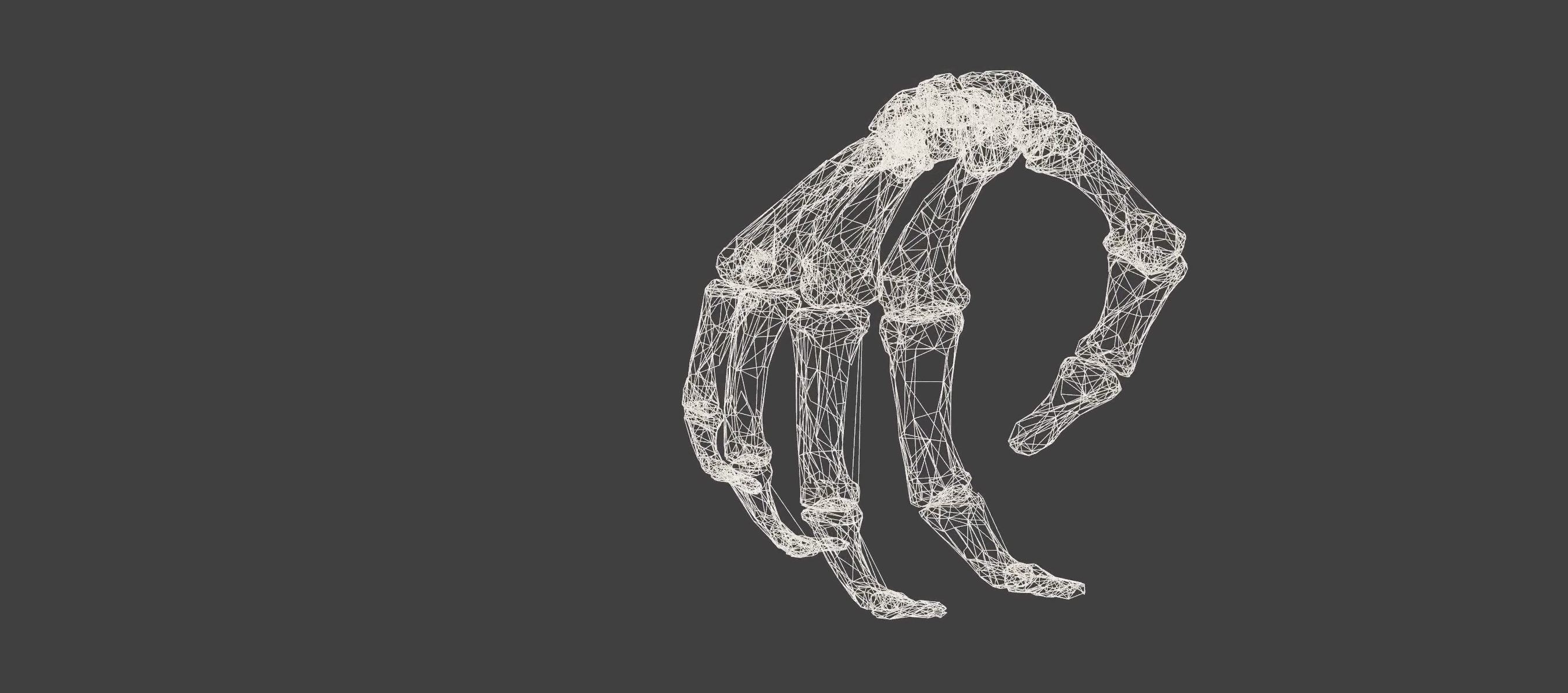Hand Visualization Project. Hand Visualization Project.